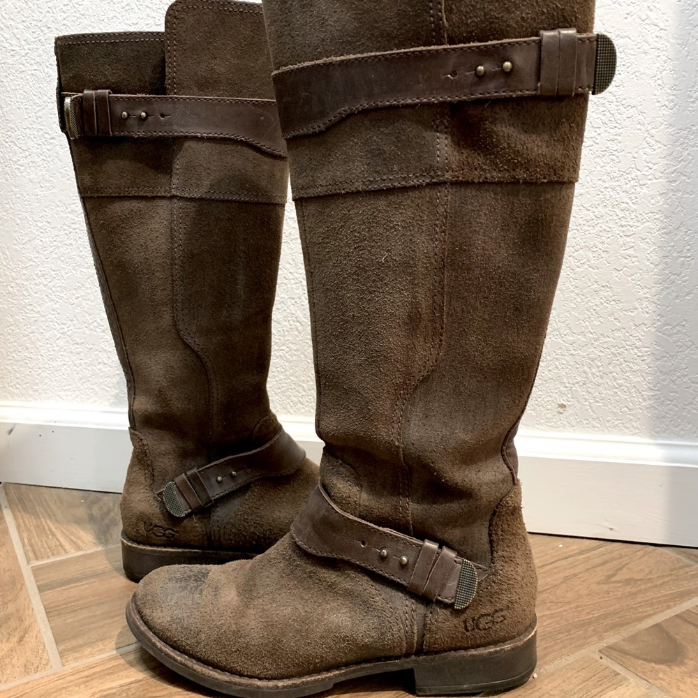 Ugg dayle tall boots